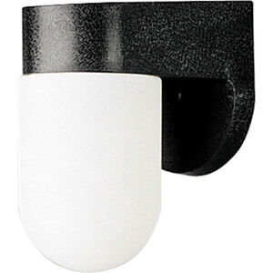 Polycarbonate Outdoor 1 Light 7 inch Textured Black Outdoor Wall Lantern