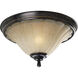 Le Jardin 2 Light 15 inch Espresso Close-to-Ceiling Ceiling Light