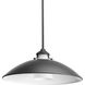 Carbon 1 Light 20 inch Graphite Pendant Ceiling Light, Design Series