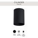 Cylinder 1 Light 5 inch Black Outdoor Ceiling Mount Cylinder in Standard Lamping