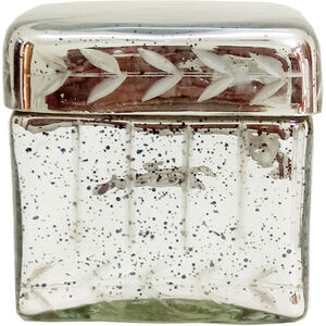 Vine 5 X 5 inch Antique Silver Decorative Box