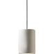 Radiance Collection LED 7 inch Concrete with Brushed Nickel Pendant Ceiling Light
