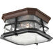 Derby 2 Light 10 inch Espresso Outdoor Flush Mount