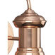 Brookside 1 Light 10 inch Cognac Outdoor Wall Lantern in Copper, Small
