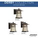 Derby LED LED 8 inch Antique Bronze Outdoor Wall Lantern in Etched Seedy Umber Watermark Glass, Small, Progress LED