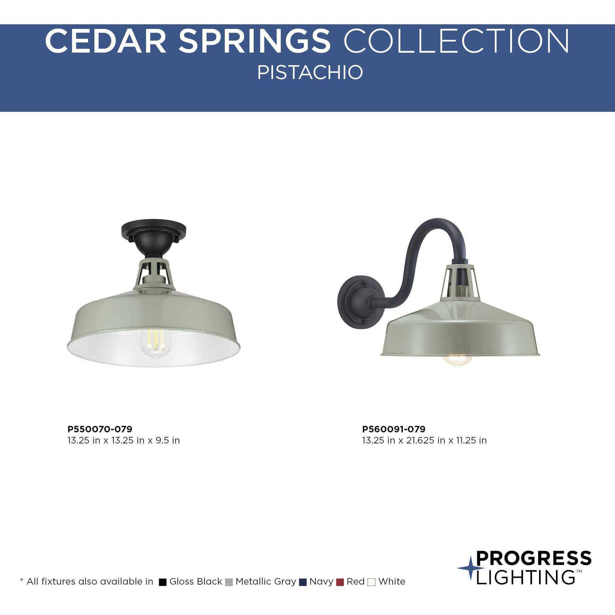 Cedar Springs 1 Light 11 inch Pistachio Outdoor Wall Lantern, Extra Large