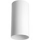 Cylinder 1 Light 6 inch White Outdoor Ceiling Mount Cylinder in Standard Lamping