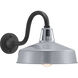 Cedar Springs 1 Light 11 inch Metallic Gray Outdoor Wall Lantern, Extra Large