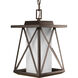 Scope 1 Light 9 inch Antique Bronze Outdoor Hanging Lantern