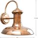 Brookside 1 Light 12 inch Cognac Outdoor Wall Lantern in Copper, Standard, Large