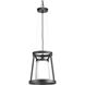 Mobi 1 Light 13 inch Graphite Pendant Ceiling Light, Design Series