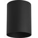 Cylinder 1 Light 5 inch Black Outdoor Ceiling Mount Cylinder in Standard Lamping