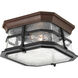 Derby 2 Light 10 inch Espresso Outdoor Flush Mount