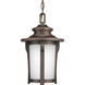 Pedigree 1 Light 9 inch Autumn Haze Outdoor Hanging Lantern
