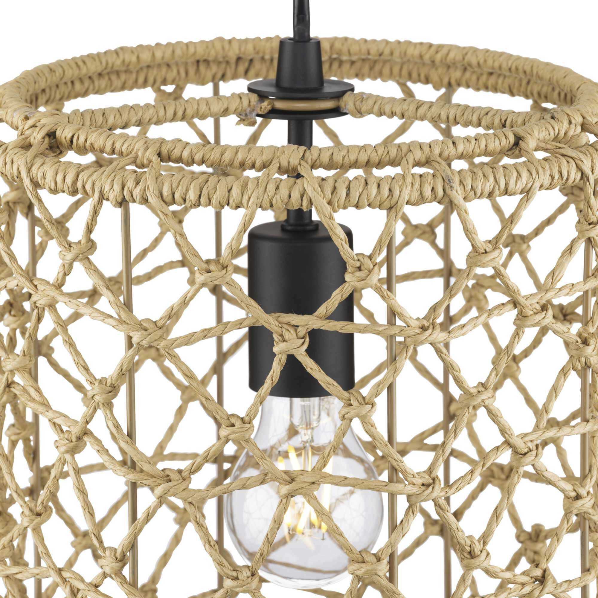 Chandra 1 Light 10 inch Matte Black Mini-pendant Ceiling Light, Design Series