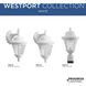 Westport 1 Light 13 inch White Outdoor Wall Lantern in Bulbs Not Included, Clear Seeded, Small