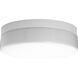 Hard-nox 2 Light 13.75 inch White Outdoor Ceiling Mount