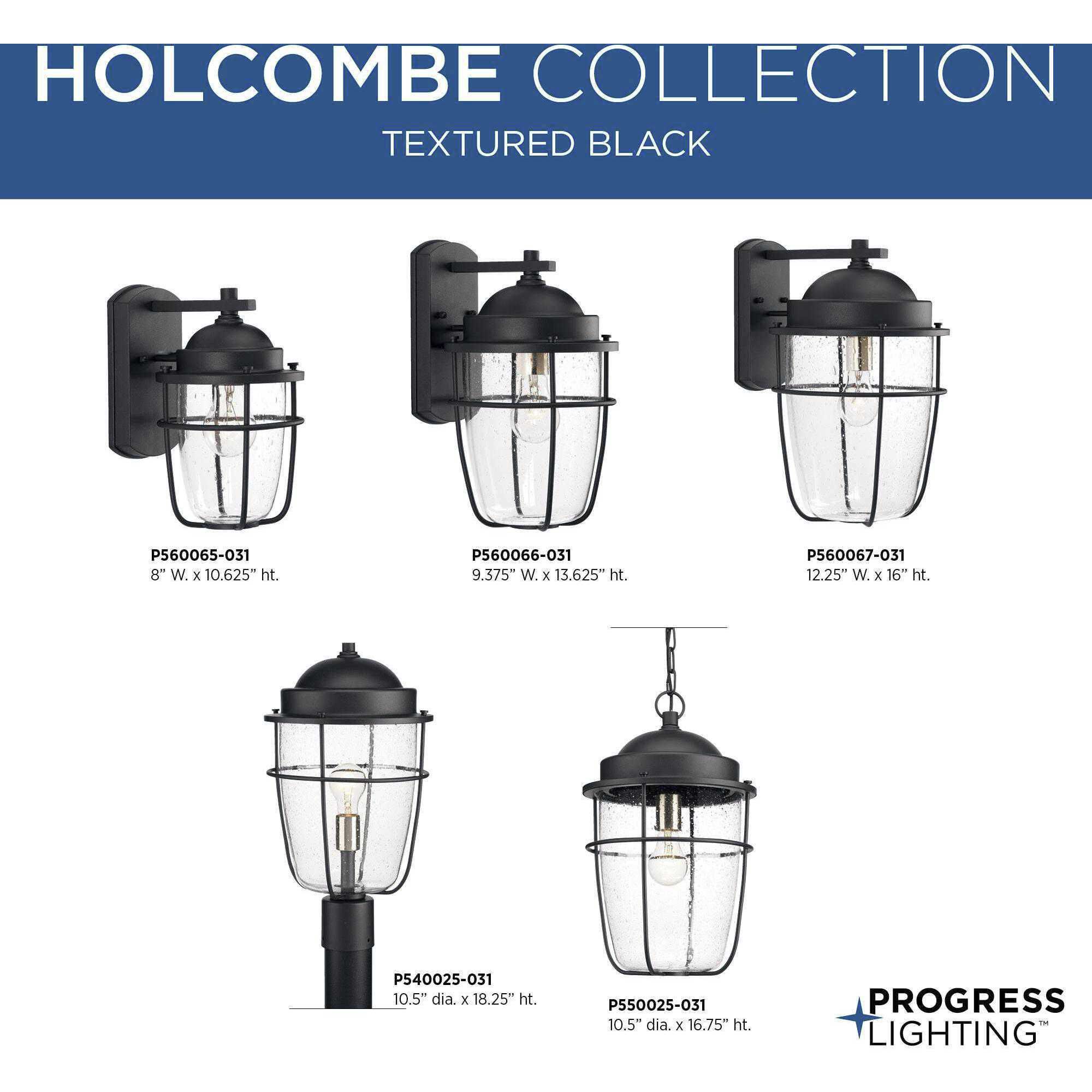 Holcombe 1 Light 11 inch Textured Black Outdoor Hanging Lantern