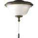 AirPro LED Antique Bronze Fan Light Kit