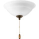 Signature 3 Light Incandescent Antique Bronze Light Kit in Etched 