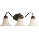 Applause 3 Light 24 inch Antique Bronze Bath Vanity Wall Light