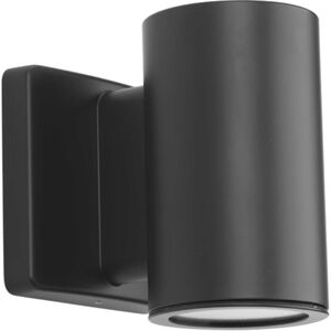 Cylinders LED 6 inch Graphite Outdoor Wall Mount Downlight Cylinder, Progress LED