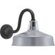 Cedar Springs 1 Light 11 inch Metallic Gray Outdoor Wall Lantern, Extra Large