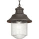 Weldon 1 Light 10 inch Architectural Bronze Outdoor Hanging Lantern