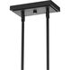 Atwell 2 Light 14 inch Matte Black Pendant Ceiling Light