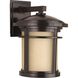 Wish 1 Light 13 inch Antique Bronze Outdoor Wall Lantern in Standard, Medium