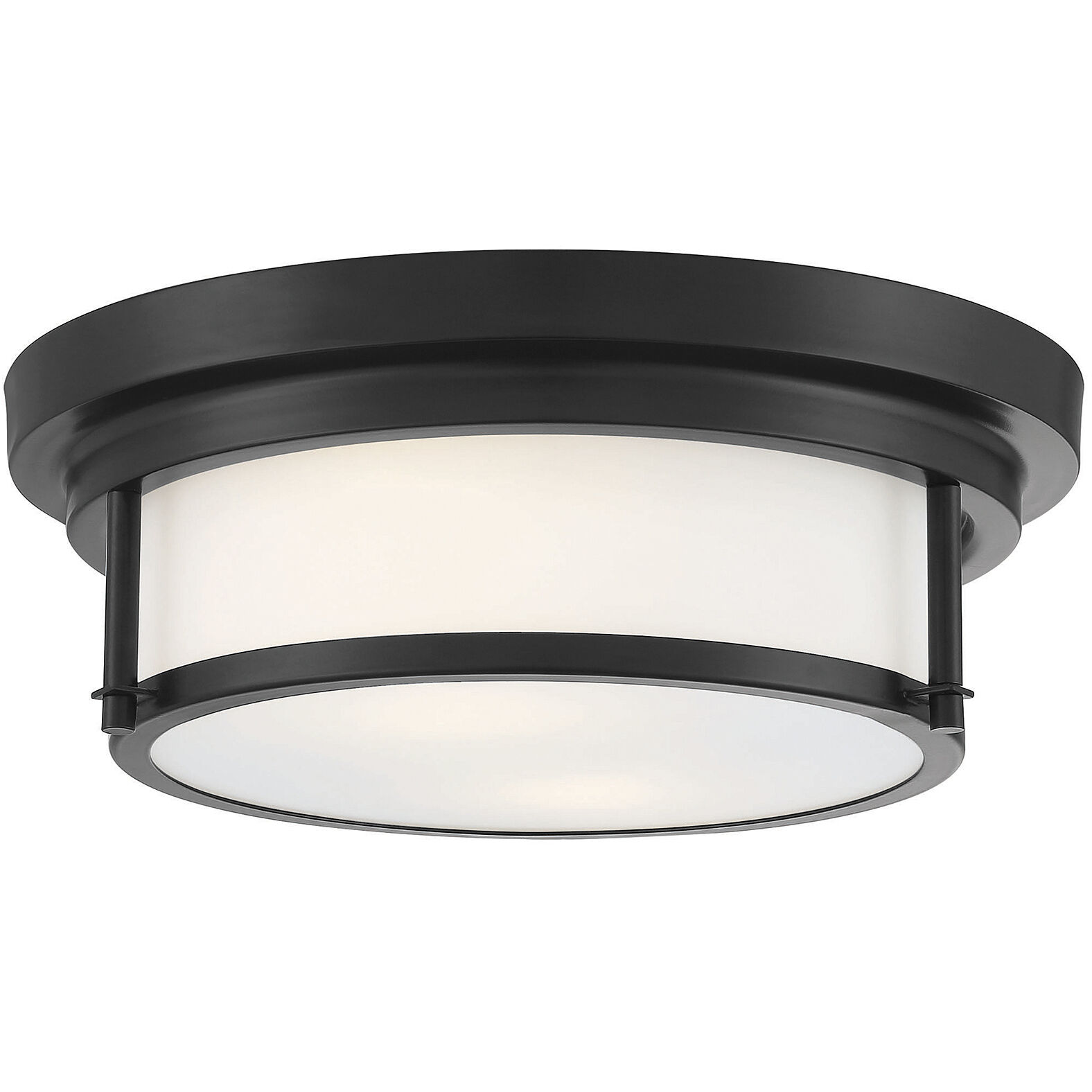 Contemporary 2 Light 13.00 inch Flush Mount