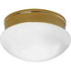 Fitter 2 Light 10 inch Polished Brass Close-to-Ceiling Ceiling Light in Bulbs Not Included