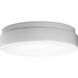 Hard-nox 1 Light 19 inch White Outdoor Ceiling Mount