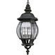 Onion 4 Light 11.13 inch Textured Black Outdoor Hanging Lantern