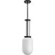 Alisse 1 Light 7.5 inch Matte Black Pendant Ceiling Light