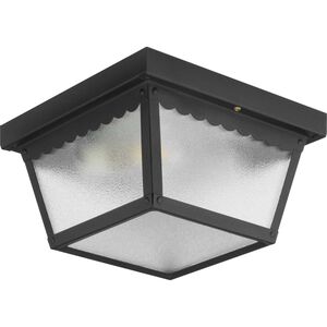 Ceiling Mount 2 Light 9.25 inch Outdoor Ceiling Light