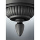 Westport 1 Light 9 inch Antique Bronze Outdoor Flush Mount in Bulbs Not Included, Clear Seeded