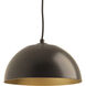 Dome LED LED 10 inch Antique Bronze Pendant Ceiling Light, Progress LED