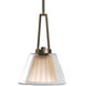 Glass Pendants 1 Light 10 inch Oil Rubbed Bronze Pendant Ceiling Light