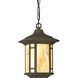 Arts and Crafts 1 Light 10 inch Weathered Bronze Outdoor Hanging Lantern