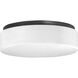 Hard-nox 2 Light 11 inch Black Outdoor Ceiling Mount in Standard