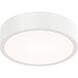 Rizo LED Matte White Ceiling Fan Light Kit
