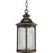 Reside 1 Light 8 inch Oil Rubbed Bronze Outdoor Hanging Lantern