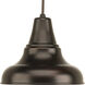 District 1 Light 8 inch Antique Bronze Outdoor Hanging Lantern, Medium