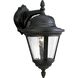 Westport 1 Light 16 inch Textured Black Outdoor Wall Lantern in Bulbs Not Included, Clear Seeded, Medium