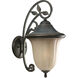 Le Jardin 1 Light 21 inch Espresso Outdoor Wall Lantern
