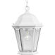 Welbourne 1 Light 9 inch Textured White Outdoor Hanging Lantern in Clear Beveled, Standard