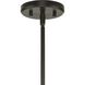 Saucedo 1 Light 12 inch Architectural Bronze Pendant Ceiling Light, Design Series