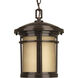 Wish 1 Light 9 inch Antique Bronze Outdoor Hanging Lantern