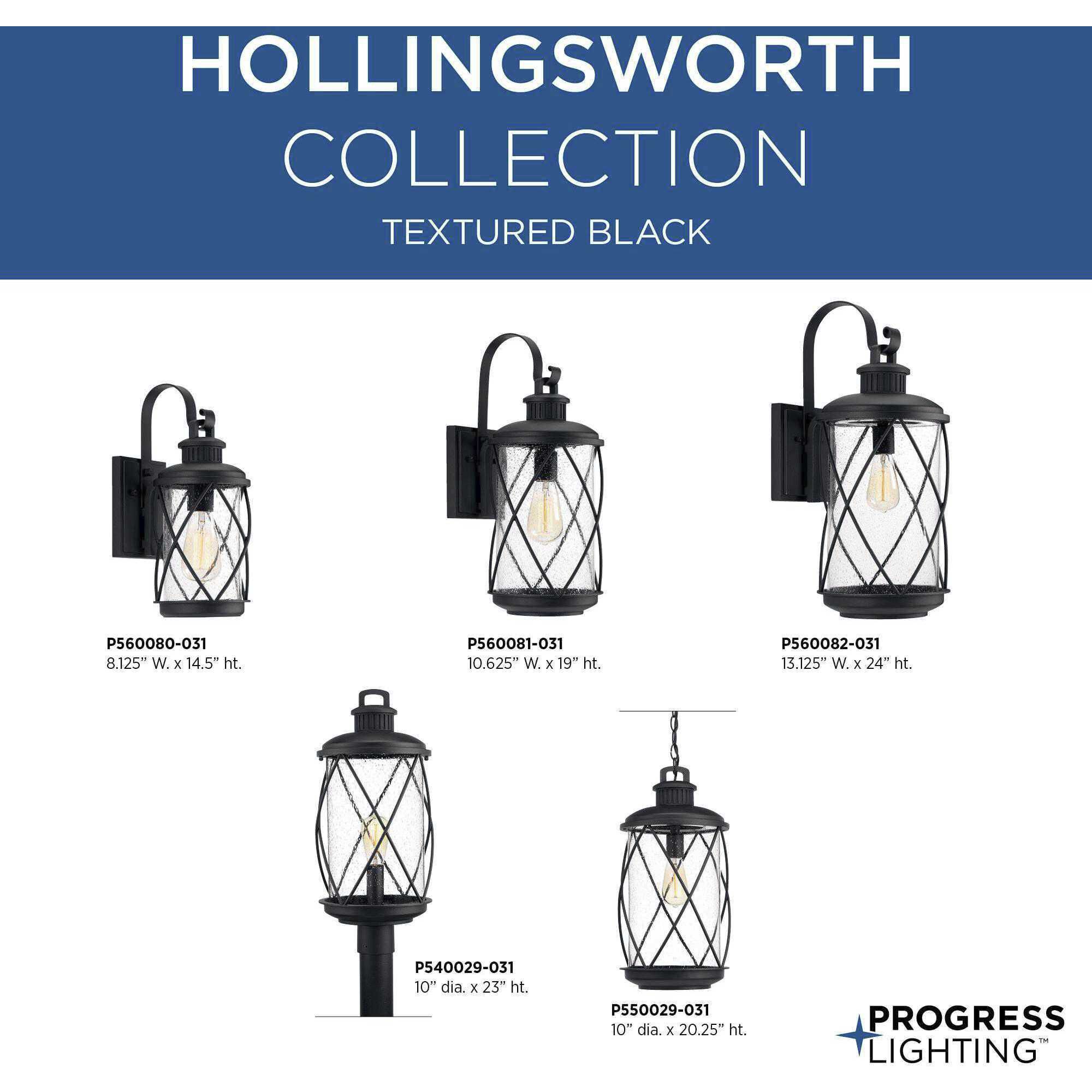 Hollingsworth 1 Light 10 inch Textured Black Outdoor Hanging Lantern